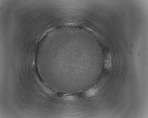 X0000085270620200703091353