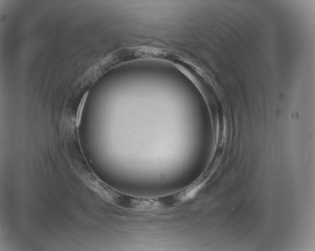 X0000085270621200703091353