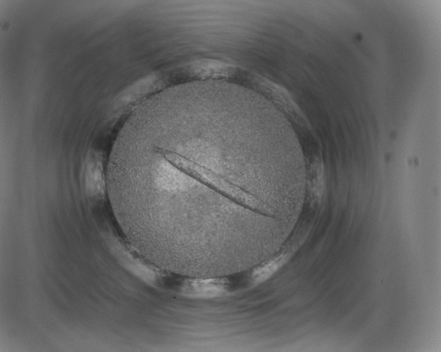 X0000085270622200703091353