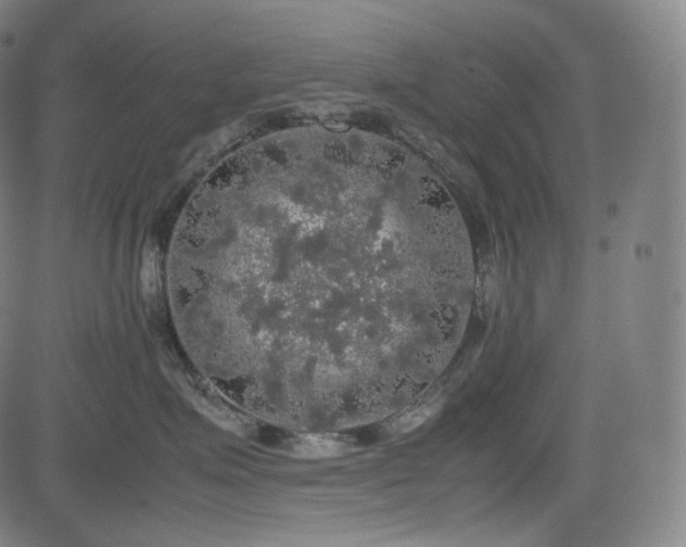 X0000085270623200703091353