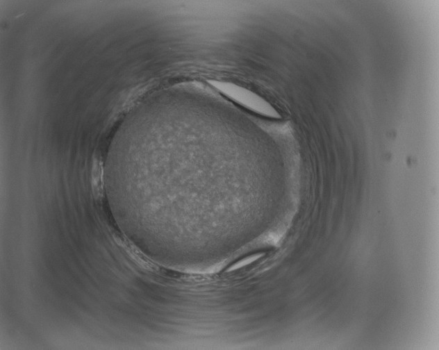 X0000085270624200703091353