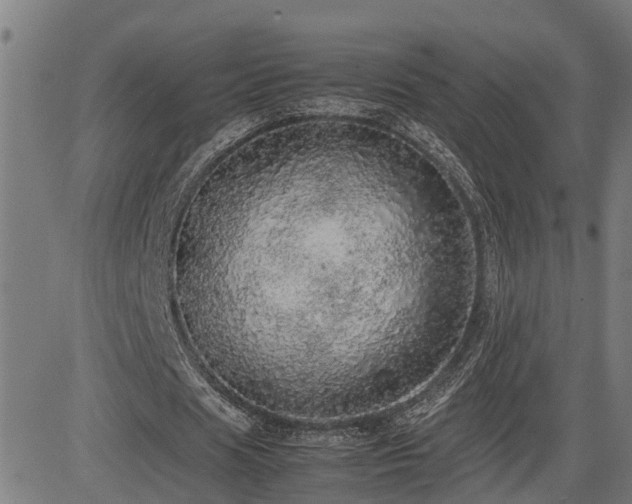 X0000085270625200703091352