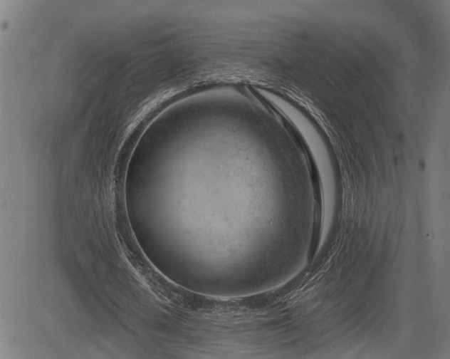 X0000085270626200703091352