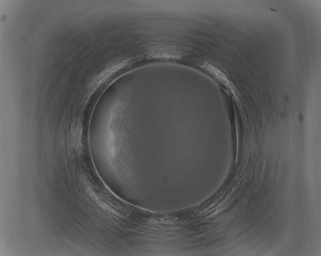 X0000085270627200703091353