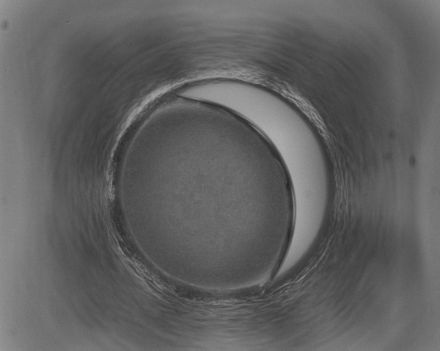 X0000085270628200703091353