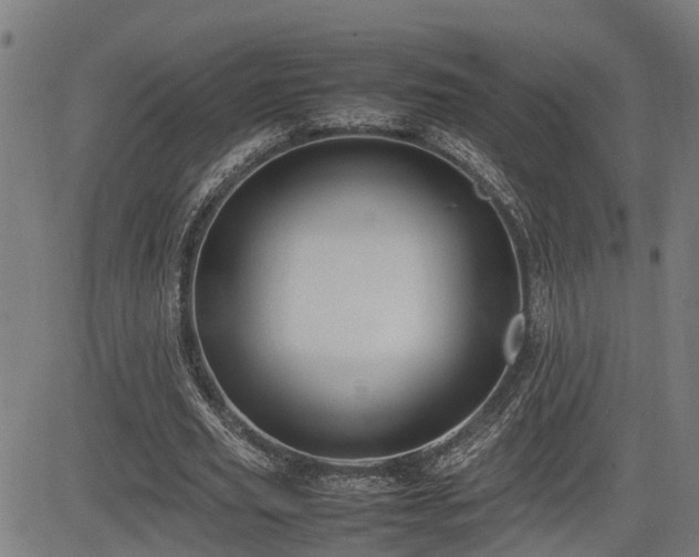 X0000085270629200703091353