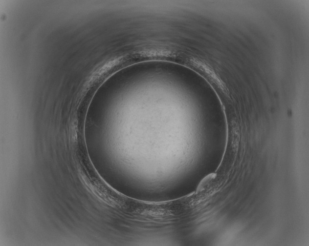 X0000085270631200703091353