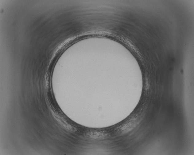 X0000085270632200703091353