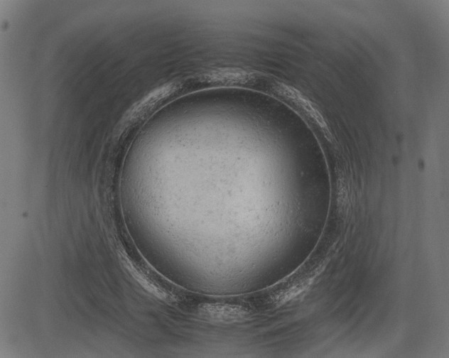 X0000085270633200703091353