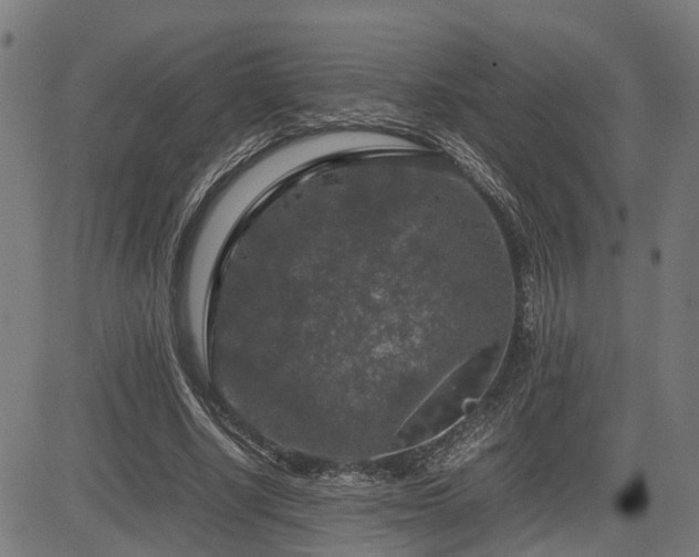 X0000085270634200703091353