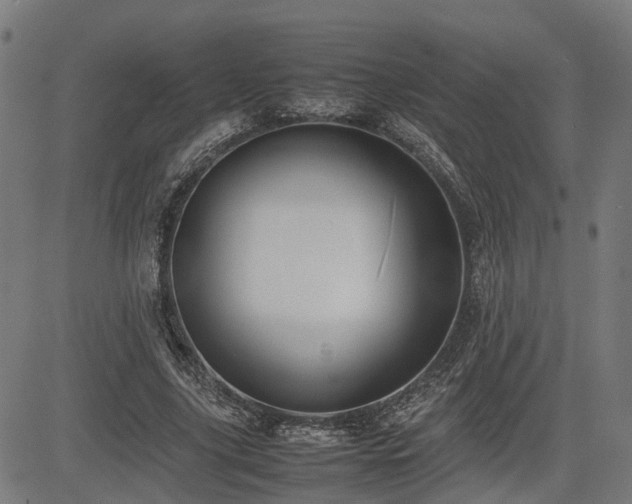 X0000085270635200703091353