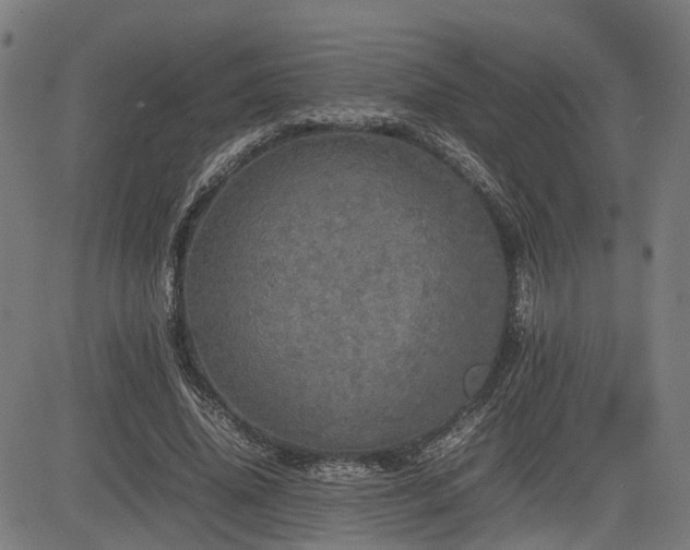 X0000085270636200703091353