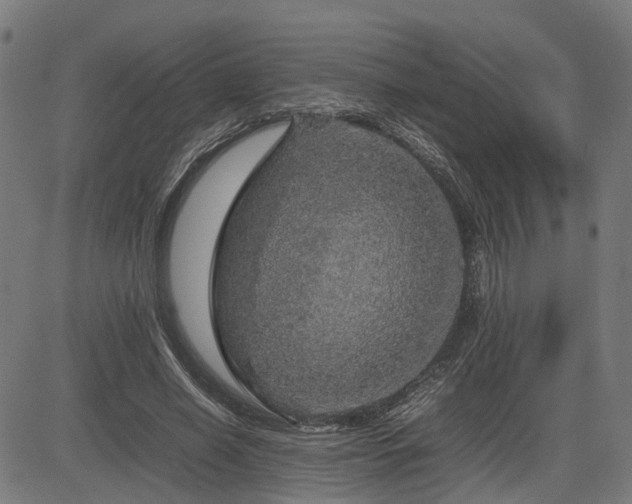 X0000085270638200703091353