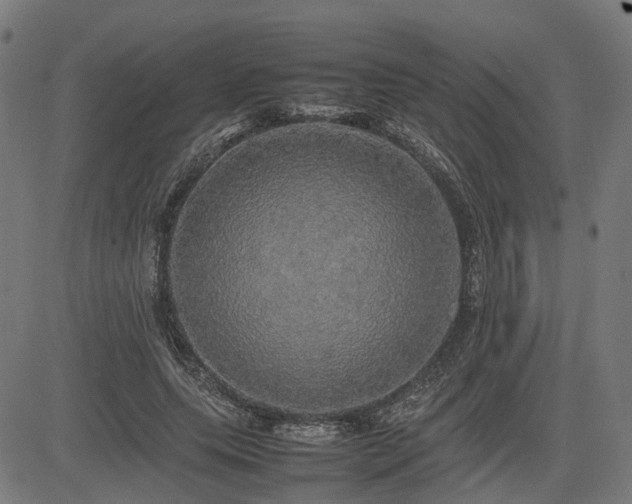 X0000085270639200703091353