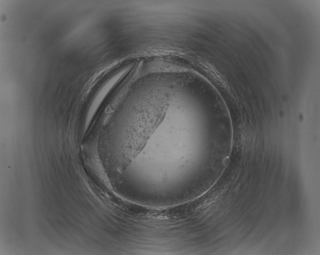 X0000085270640200703091353