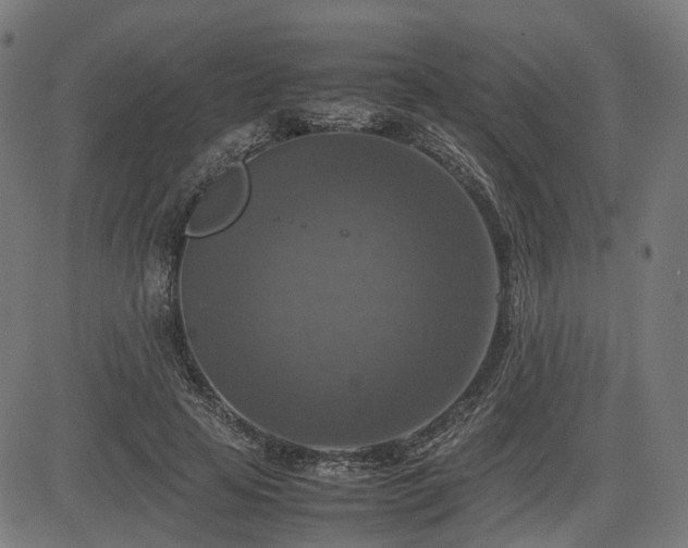 X0000085270641200703091353