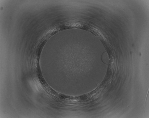 X0000085270643200703091353