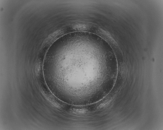 X0000085270645200703091353