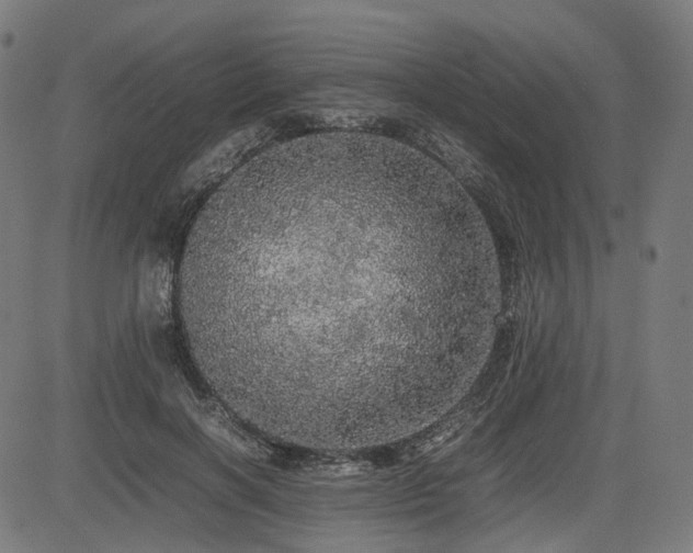 X0000085270646200703091353