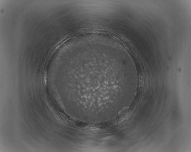 X0000085270648200703091353