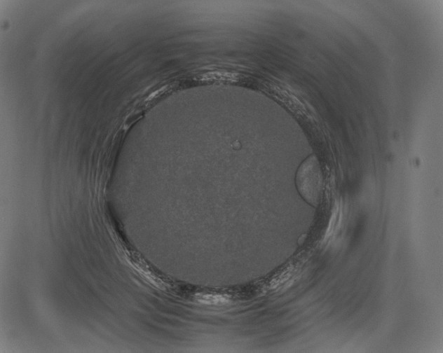 X0000085270649200703091353