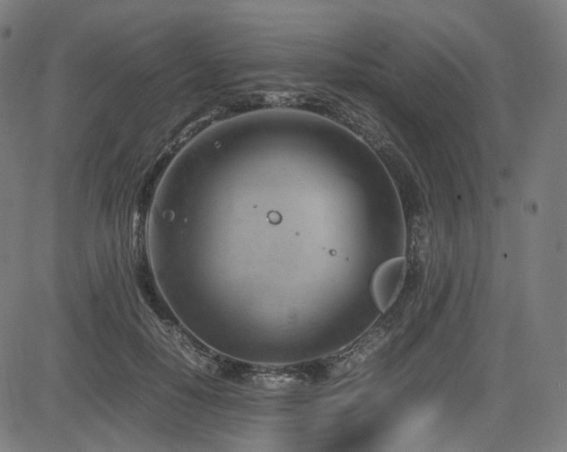 X0000085270650200703091353