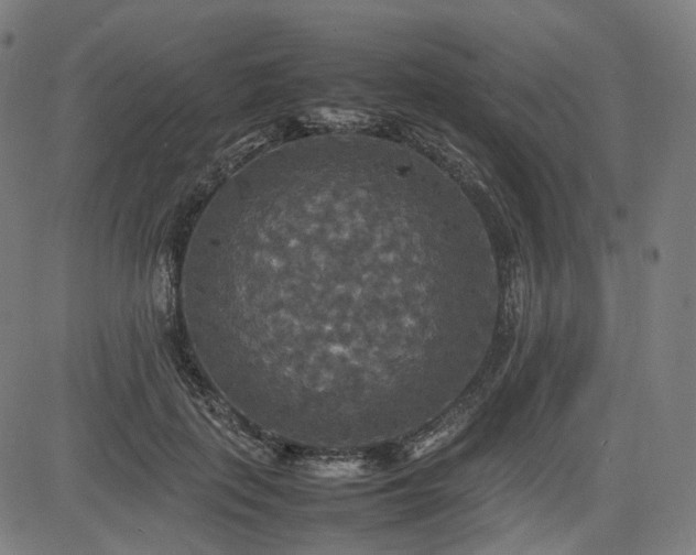 X0000085270651200703091353