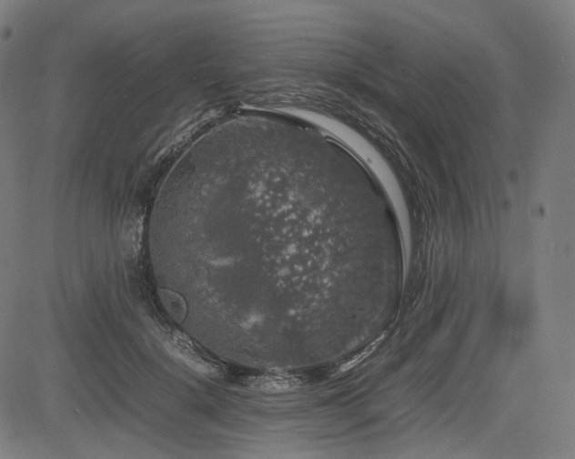 X0000085270652200703091353