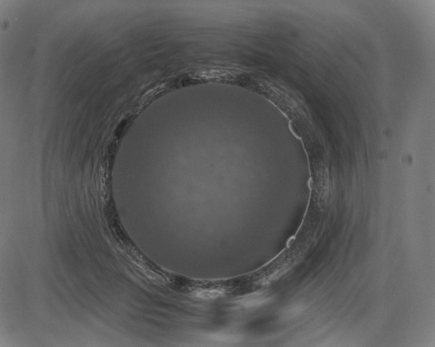 X0000085270653200703091353