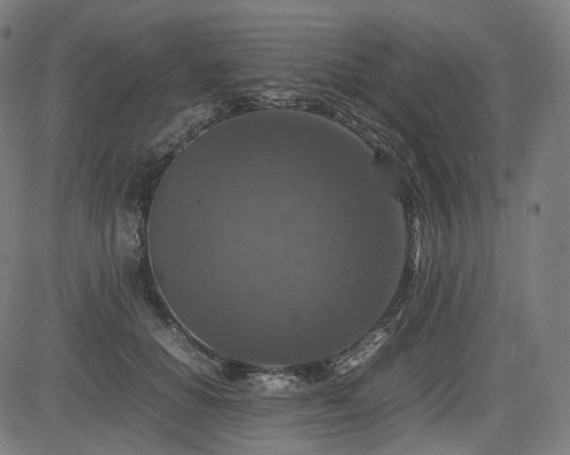 X0000085270654200703091353