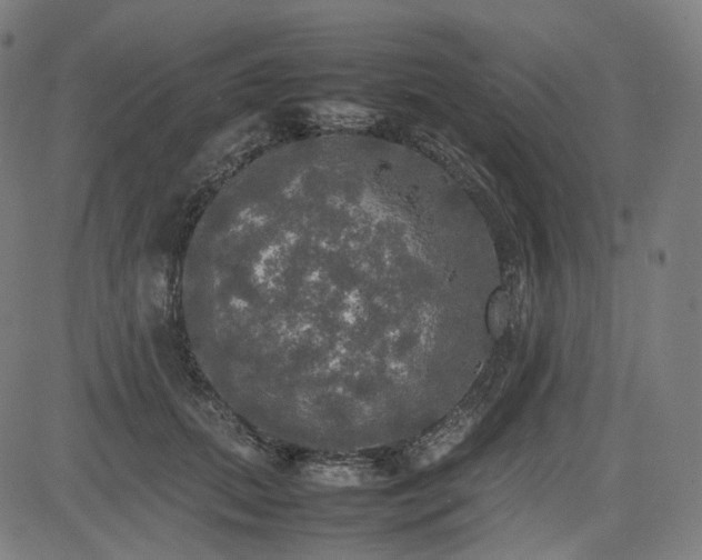 X0000085270655200703091353