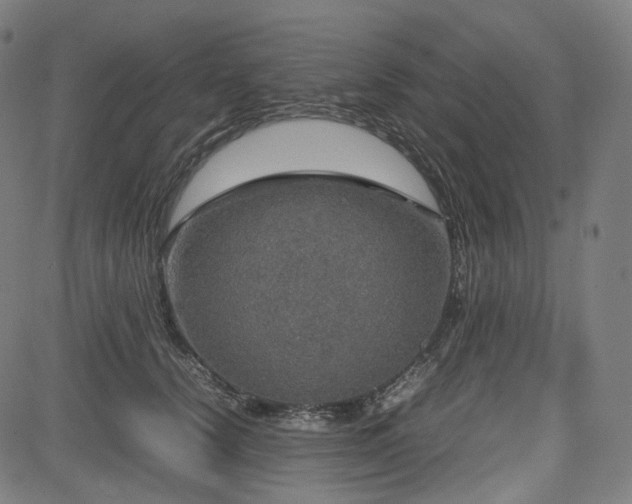 X0000085270656200703091353