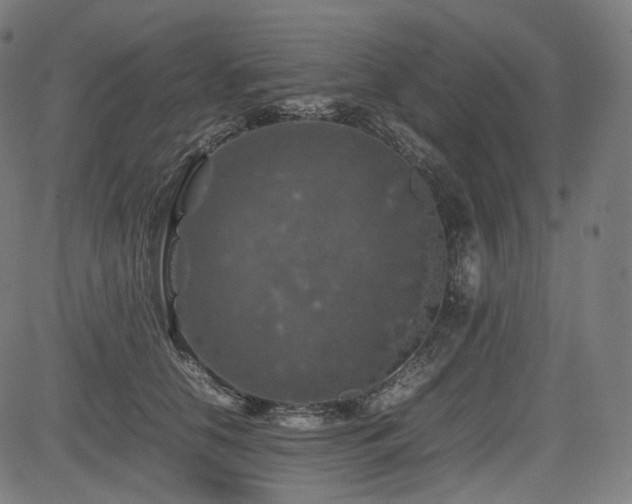 X0000085270658200703091353