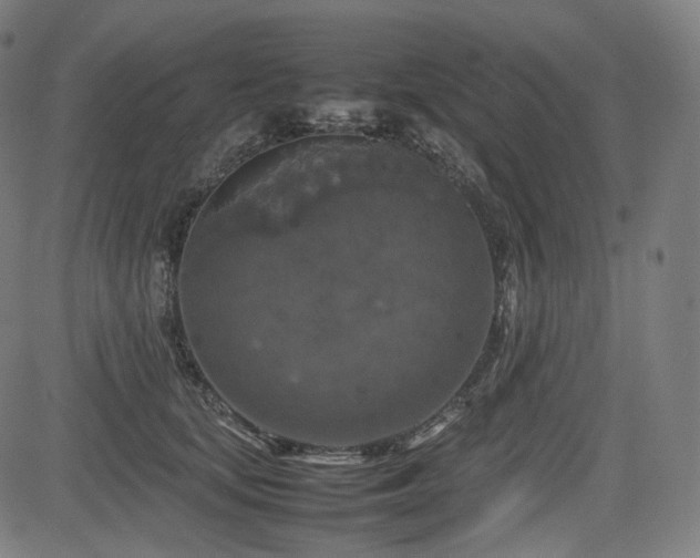 X0000085270659200703091353