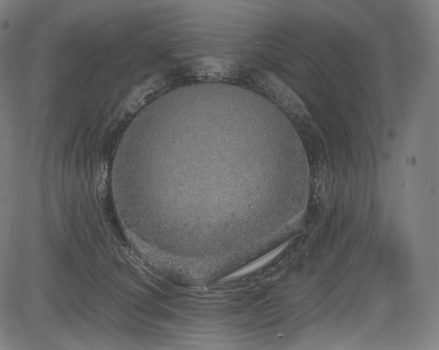 X0000085270660200703091353