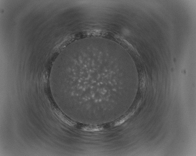 X0000085270661200703091353