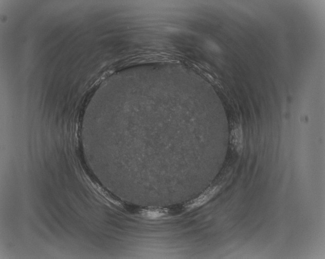 X0000085270662200703091353