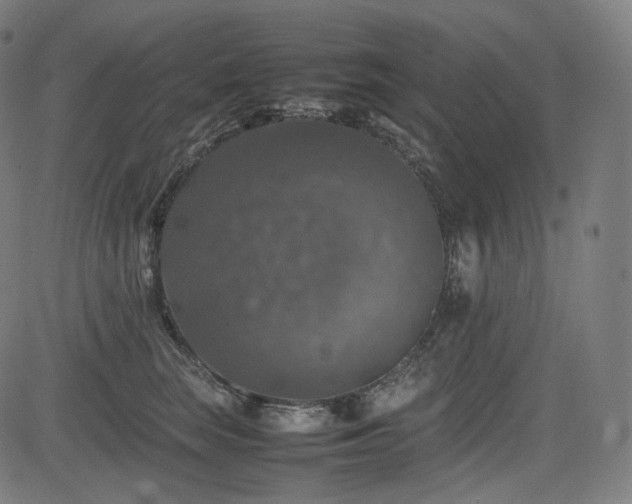 X0000085270663200703091353