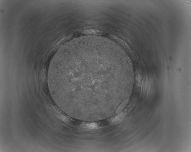 X0000085270665200703091353