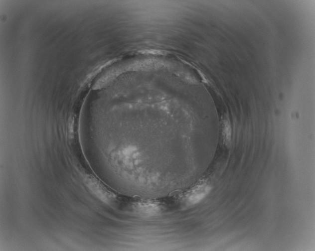 X0000085270668200703091353