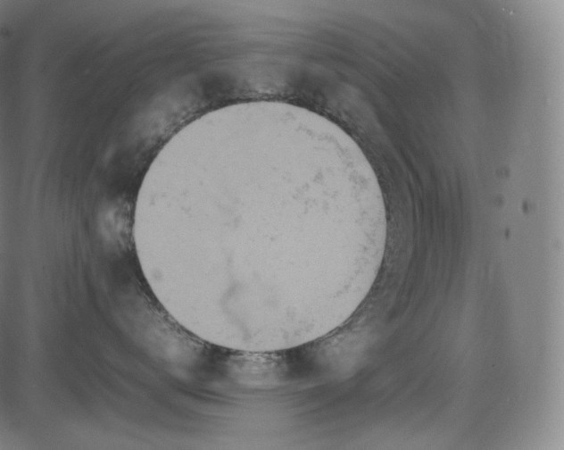 X0000085270672200703091353