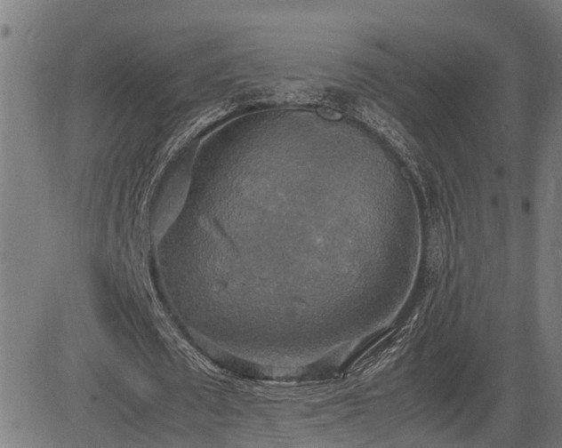 X0000085270673200703091352