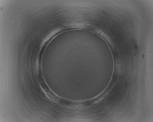 X0000085270674200703091352