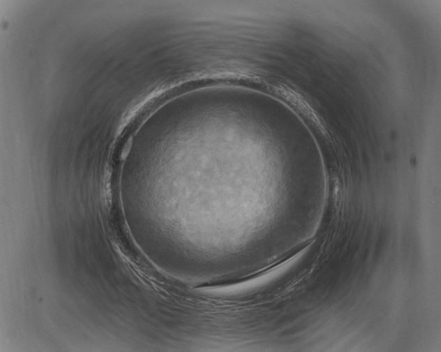 X0000085270676200703091352