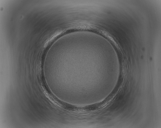 X0000085270677200703091352