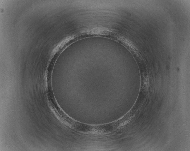 X0000085270678200703091352