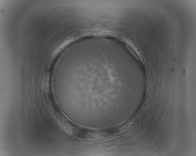 X0000085270679200703091352