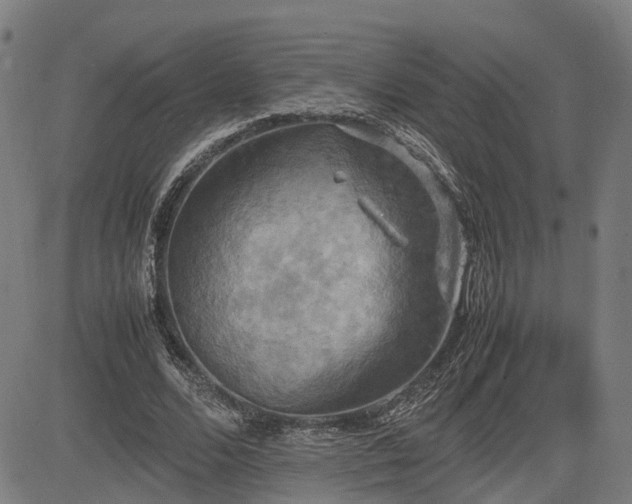 X0000085270680200703091352