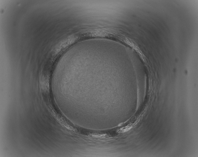 X0000085270681200703091352