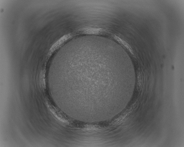 X0000085270682200703091352